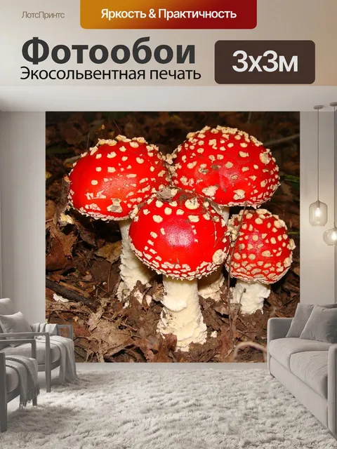 Фотообои Грибы, мухомор, лес
