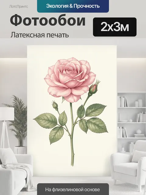 200 × 300 см · Латексная печать