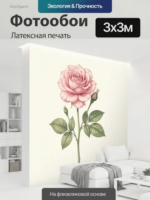 300 × 300 см · Латексная печать