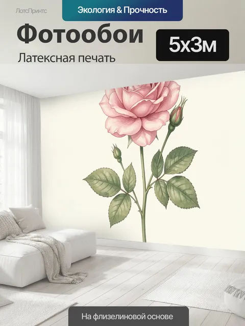 500 × 300 см · Латексная печать