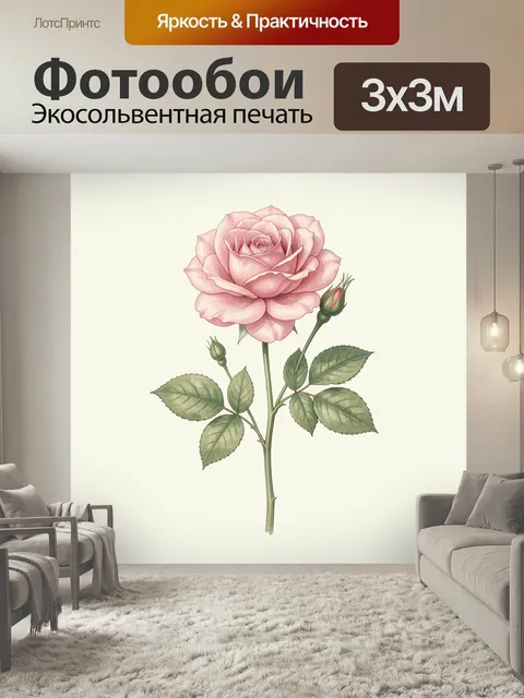Фотообои Розовая роза с бутонами. Нежная ботаническая иллюстрация с крупным распустившимся цветком и молодыми почками …