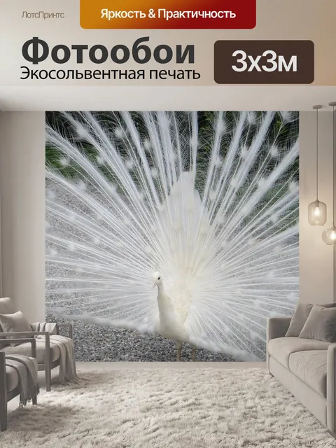 Фотообои Павлин, лаго маджоре, изола белла