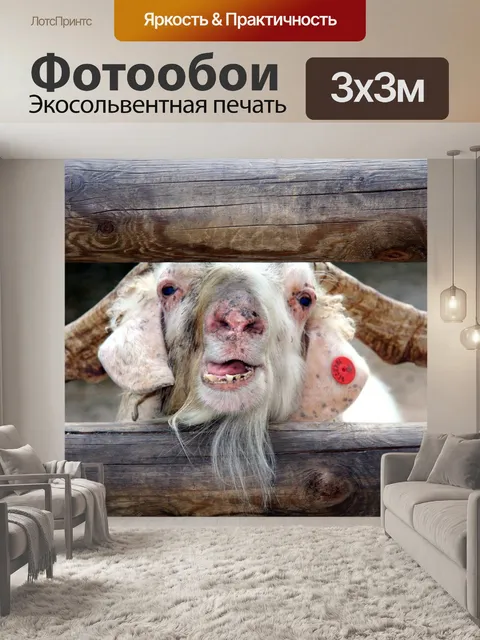 Фотообои Ферма, козел, животное