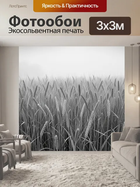 Фотообои Пшеничное поле в серо-белых тонах. Колосья пшеницы на фоне дымки, монохромная фотореалистичная фактура. Холод…