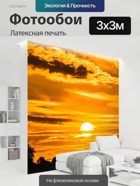 300 × 300 см · Латексная печать