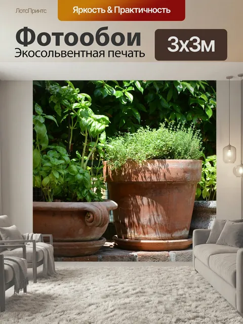 Фотообои Бэзил, тимьян, терракота