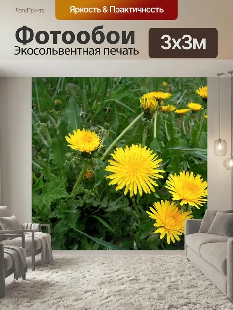Фотообои Одуванчики, цветы, желтый