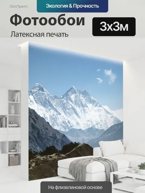 300 × 300 см · Латексная печать