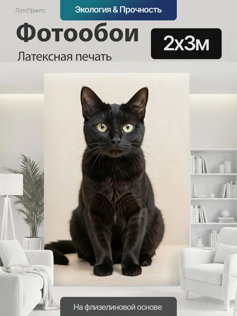 200 × 300 см · Латексная печать