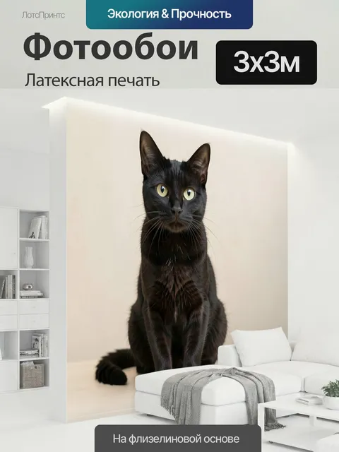 300 × 300 см · Латексная печать