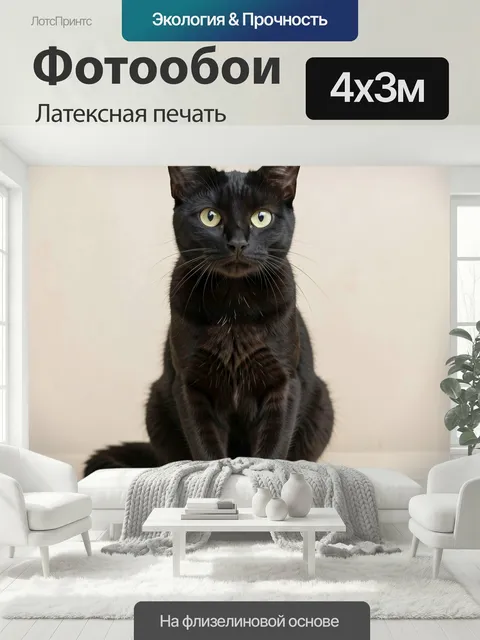 400 × 300 см · Латексная печать