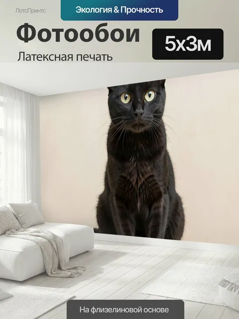 500 × 300 см · Латексная печать