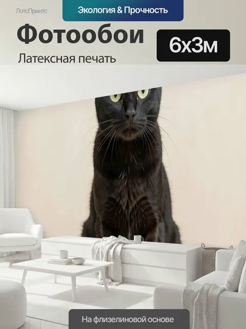 600 × 300 см · Латексная печать