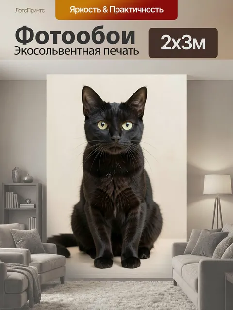200 × 300 см · Экосольвентная печать