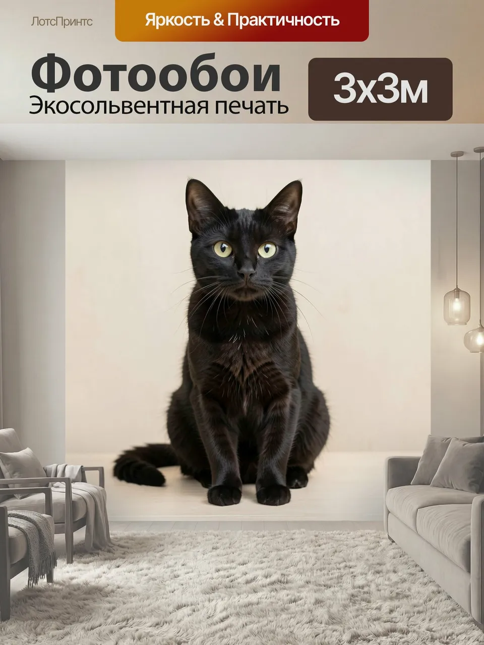 Фотообои Черный кот
