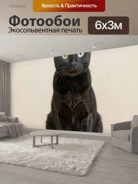 600 × 300 см · Экосольвентная печать