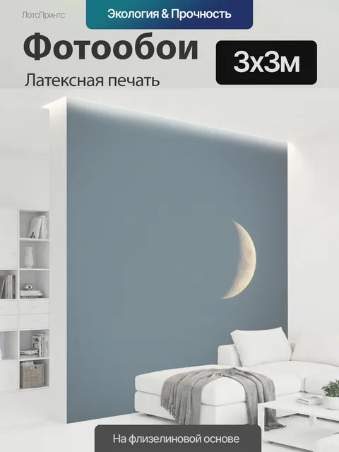 300 × 300 см · Латексная печать