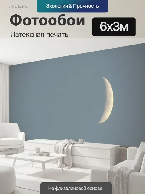 600 × 300 см · Латексная печать