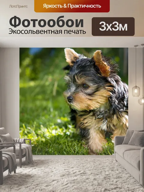 Фотообои Собака, щенок, йоркширский терьер