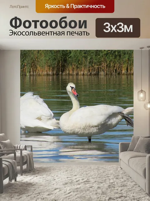 Фотообои Лебеди, птицы, вода