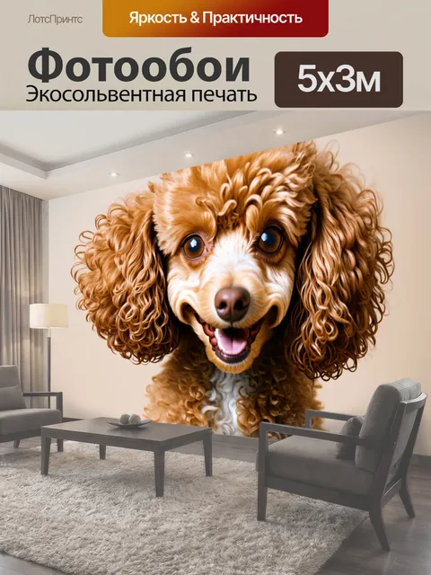 Фотообои Портрет милой собаки породы пудель с густой и кудрявой шерстью