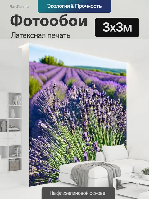 300 × 300 см · Латексная печать