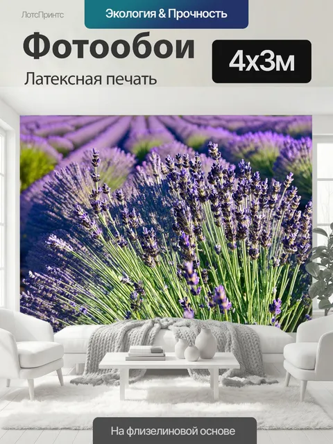 400 × 300 см · Латексная печать