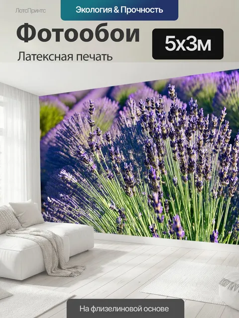 500 × 300 см · Латексная печать