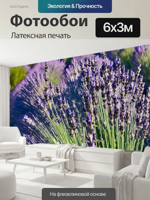 600 × 300 см · Латексная печать