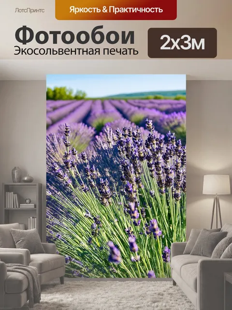 200 × 300 см · Экосольвентная печать