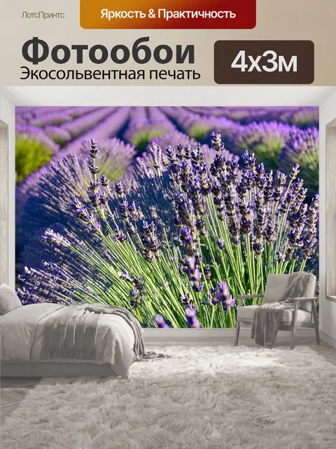 400 × 300 см · Экосольвентная печать