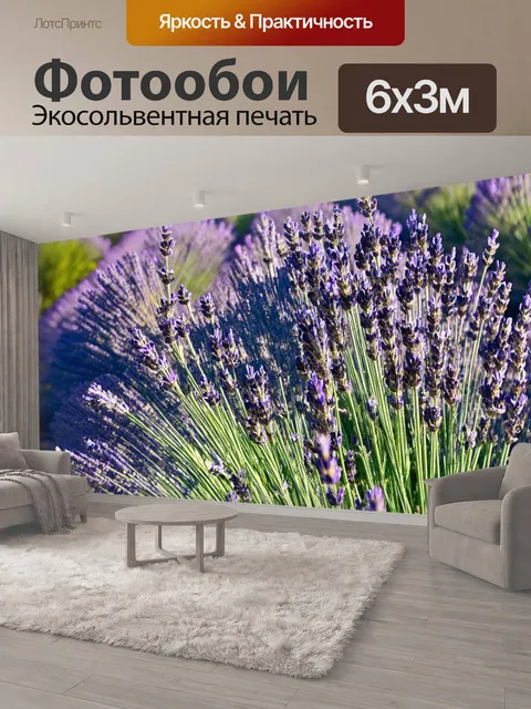 600 × 300 см · Экосольвентная печать