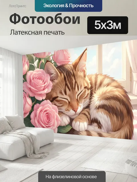 500 × 300 см · Латексная печать