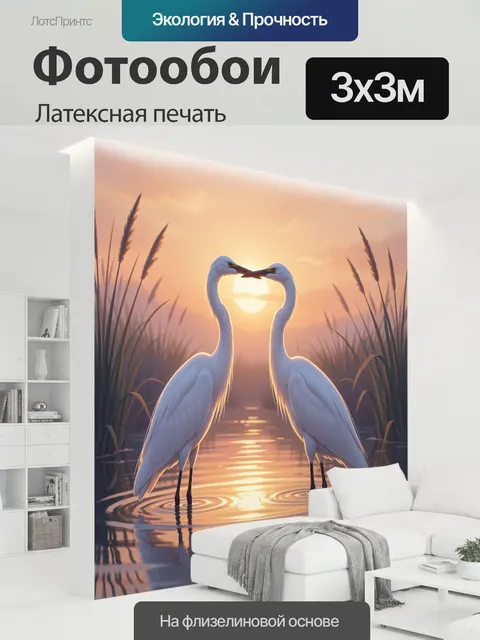 300 × 300 см · Латексная печать