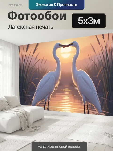 500 × 300 см · Латексная печать