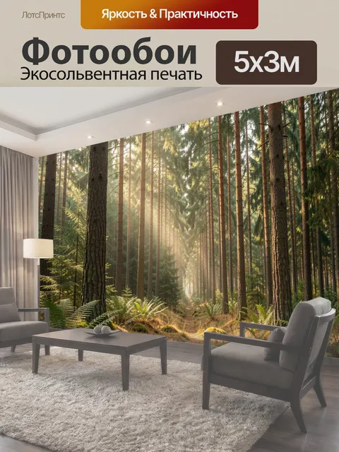 Фотообои Солнечный хвойный лес