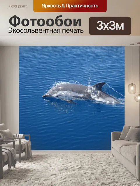 Фотообои Дельфин, море, вода