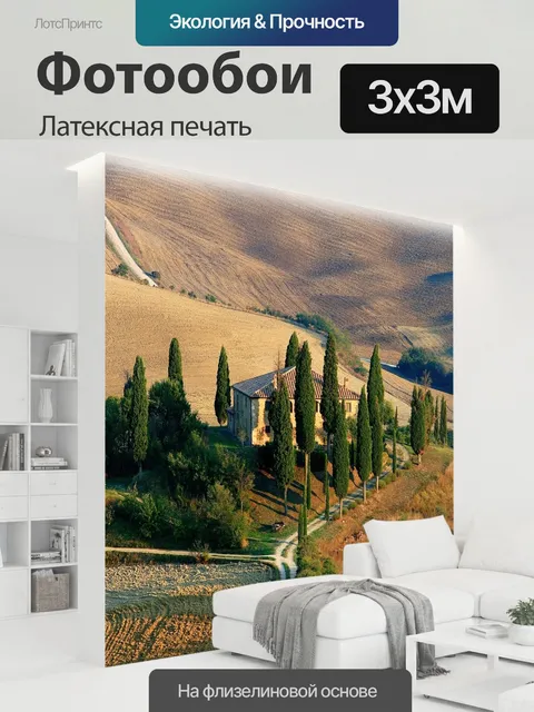 300 × 300 см · Латексная печать