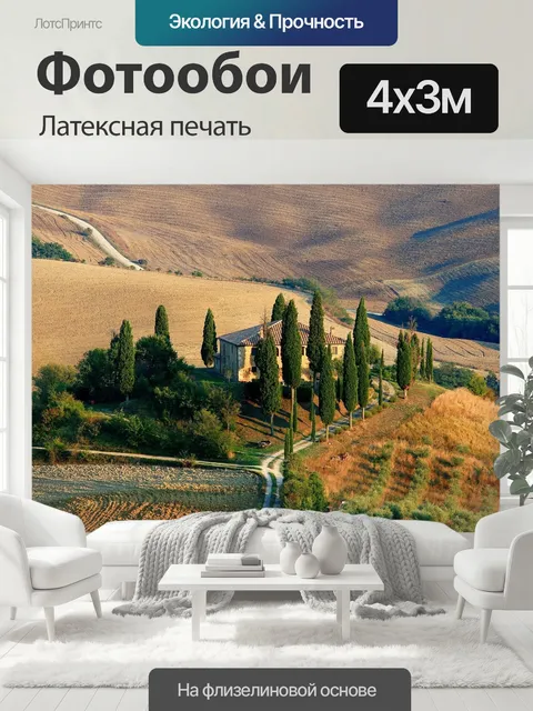 400 × 300 см · Латексная печать