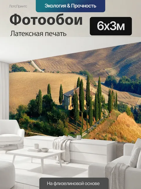 600 × 300 см · Латексная печать