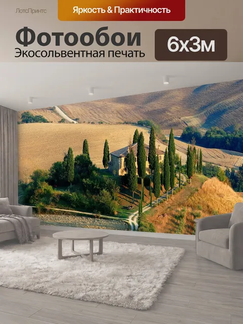 600 × 300 см · Экосольвентная печать