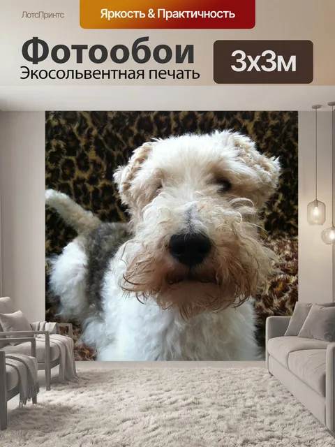 Фотообои Фокстерьер, собака, собачий