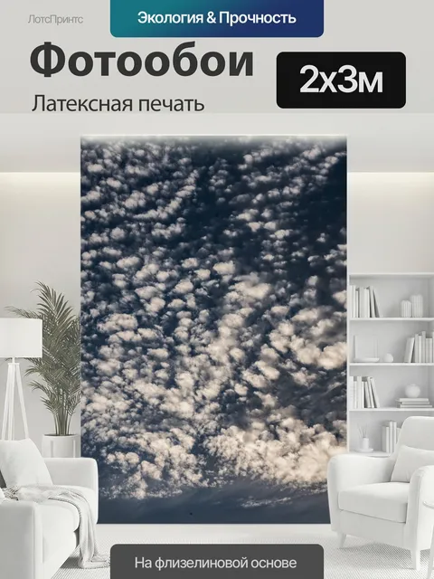 200 × 300 см · Латексная печать