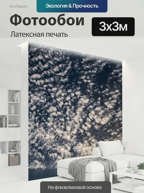 300 × 300 см · Латексная печать