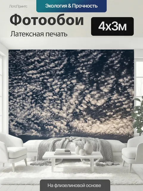 400 × 300 см · Латексная печать