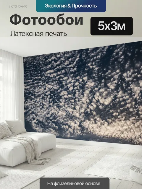 500 × 300 см · Латексная печать