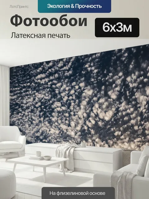 600 × 300 см · Латексная печать