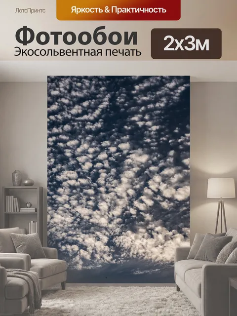 200 × 300 см · Экосольвентная печать