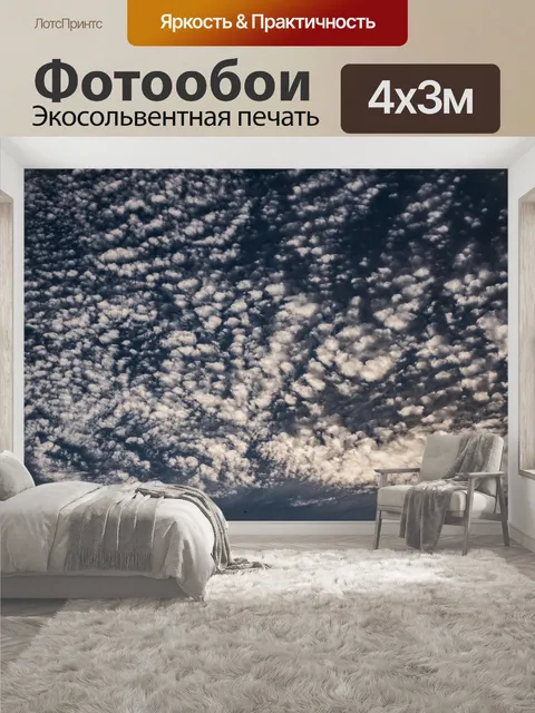 400 × 300 см · Экосольвентная печать