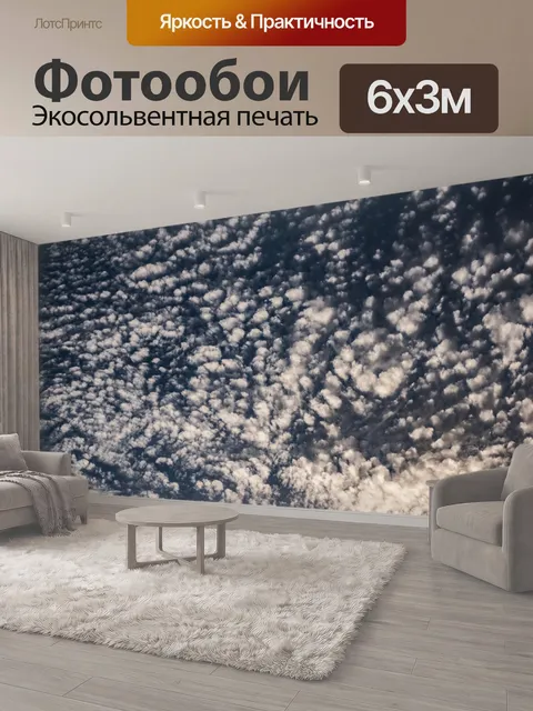 600 × 300 см · Экосольвентная печать